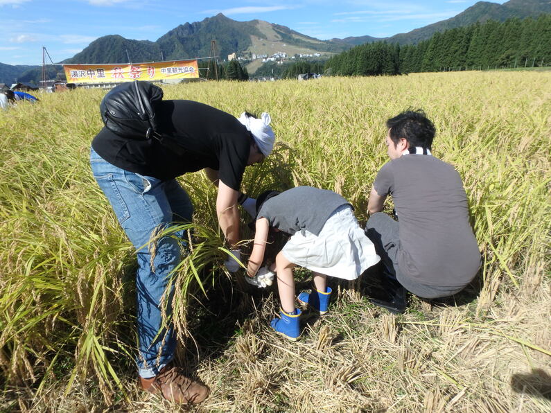 求人イメージ画像3