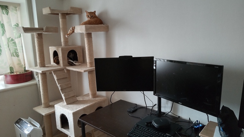 求人イメージ画像3