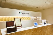 テックファームホールディングス株式会社