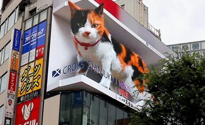 求人イメージ画像2