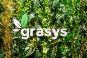 株式会社grasys