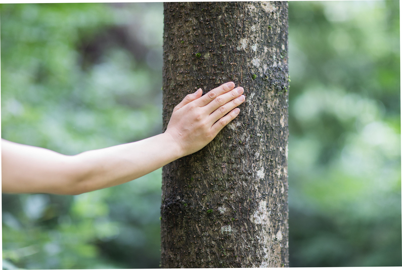 求人イメージ画像2