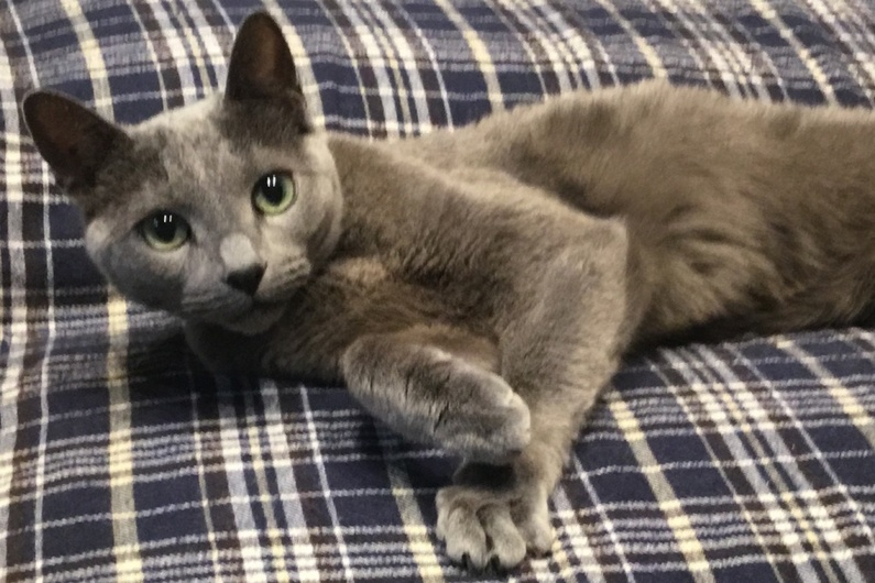 求人イメージ画像2