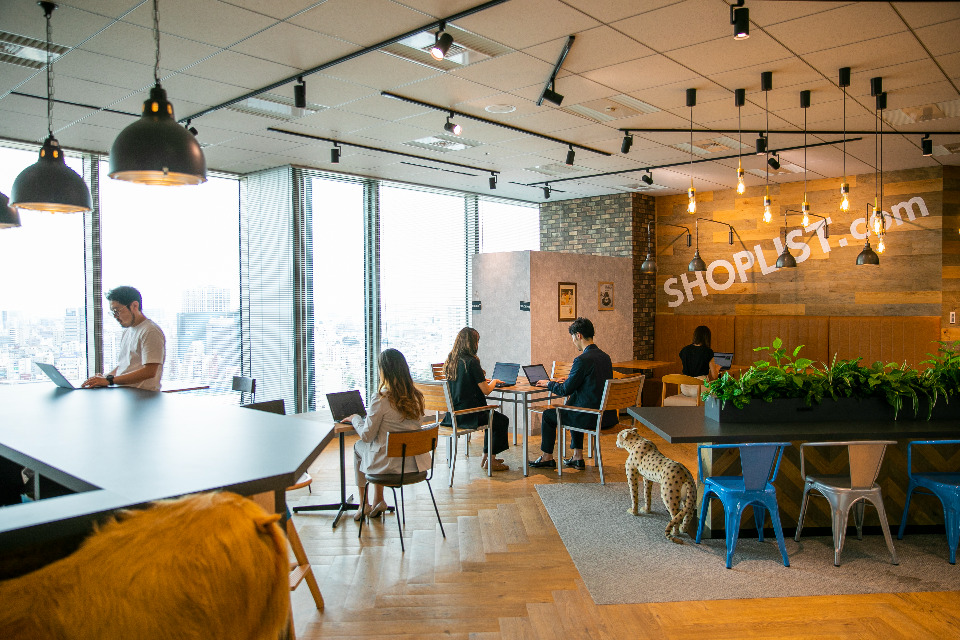 求人メインイメージ