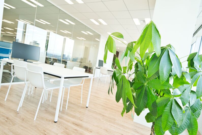 求人イメージ画像2