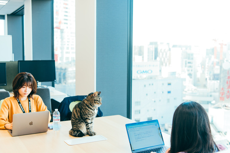 求人イメージ画像2