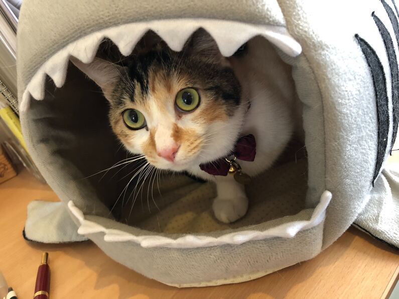 求人イメージ画像3