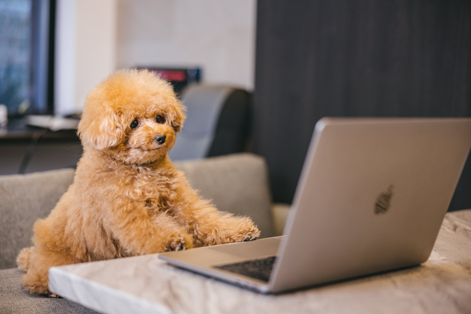 求人メインイメージ