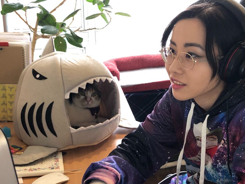 求人メインイメージ