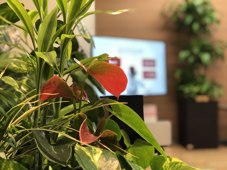 求人イメージ画像3