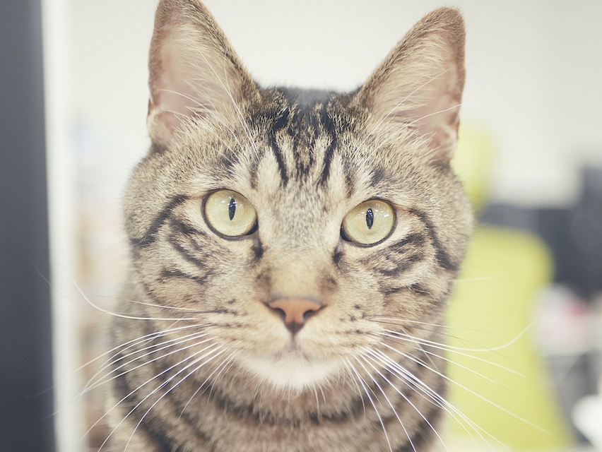 求人メインイメージ