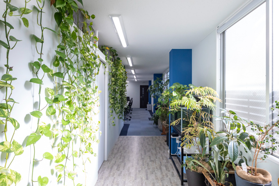 企業メインイメージ