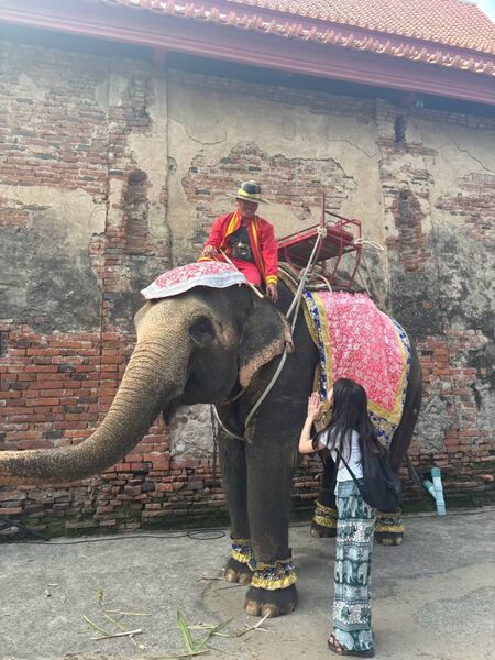 求人イメージ画像2