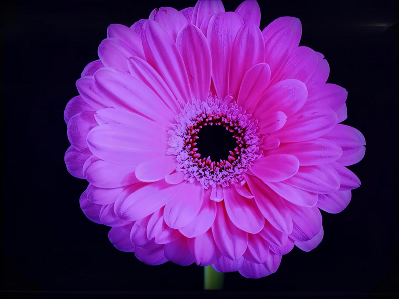 求人イメージ画像2