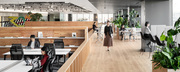 DATUM STUDIO株式会社